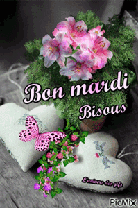 Gif animé Bon mardi papillon